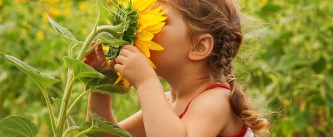 The Finance Consultancy and what is means to be commercially educated